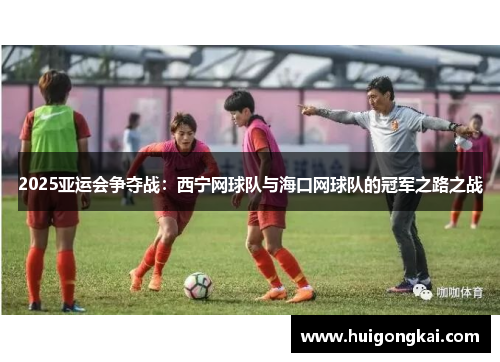 2025亚运会争夺战：西宁网球队与海口网球队的冠军之路之战